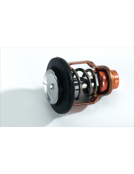 THERMOSTAT FX  60E1241101, Pour l'entretien