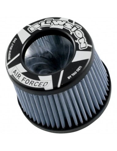 FILTRE A AIR BLOWSION