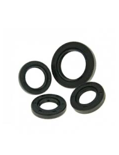 kit spi vilebrequin Kawasaki sx800r Prox  