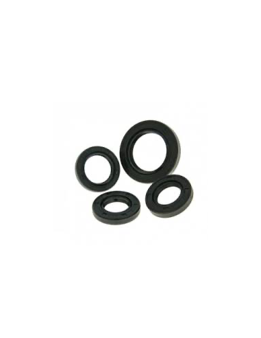 kit spi vilebrequin Kawasaki sx800r Prox  
