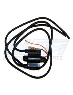 Bobine WSM pour YAMAHA moteur 650 - 700