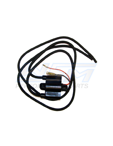 Bobine WSM pour YAMAHA moteur 650 - 700
