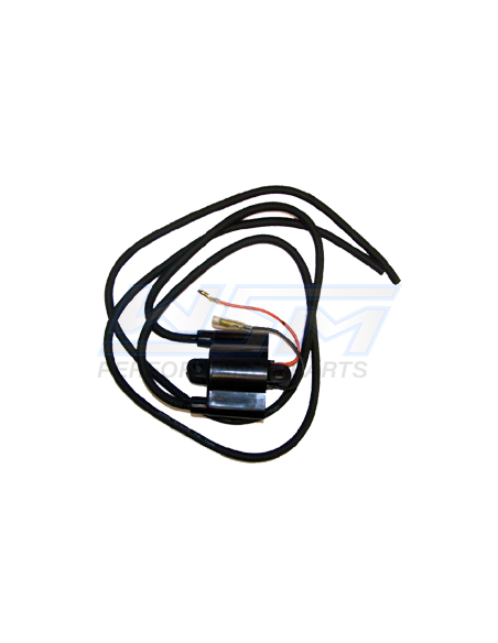 Bobine WSM pour YAMAHA moteur 650 - 700