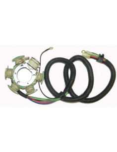 Plateau d'allumage complet  YAMAHA 1200cc 97-04 WSM