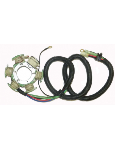 Plateau d'allumage complet  YAMAHA 1200cc 97-04 WSM