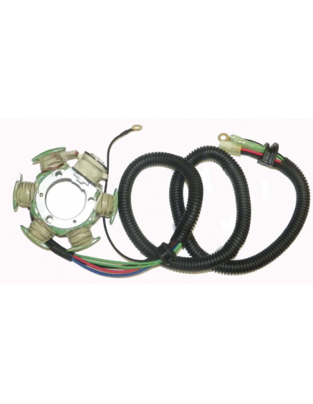 Plateau d'allumage complet  YAMAHA 1200cc 97-04 WSM