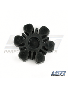 dumper-kawasaki-jet-ski-STX15F