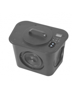 Caisson de basses FX