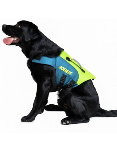Gilet pour chien Lime Teal JOBE - F2R