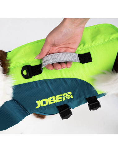Gilet pour chien Lime Teal JOBE - F2R