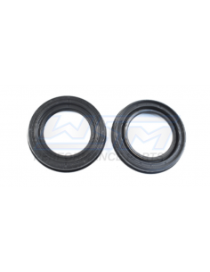 Spi vilebrequin kit YAMAHA 1050 WSM