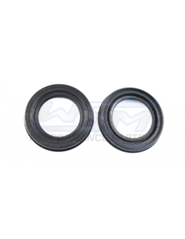 Spi vilebrequin kit YAMAHA 1050 WSM