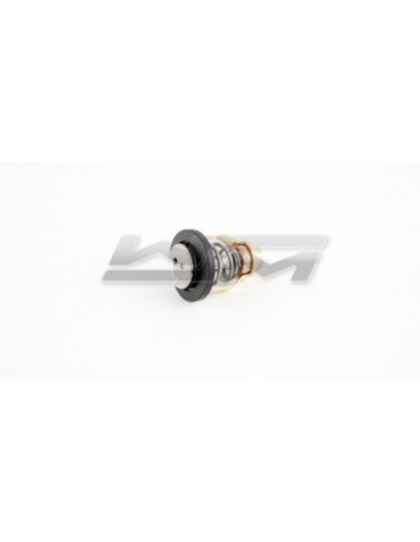 Thermostat Yamaha 1050/1100/1800 06-22 WSM