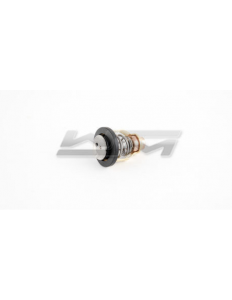 Thermostat Yamaha 1050/1100/1800 06-22 WSM