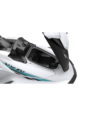 VX-EU YAMAHA - F2R