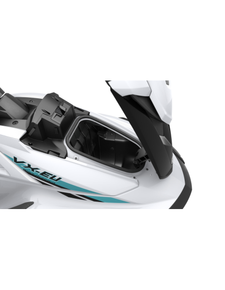VX-EU YAMAHA - F2R
