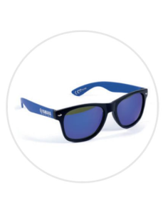 Lunettes de soleil Paddock Blue Adulte