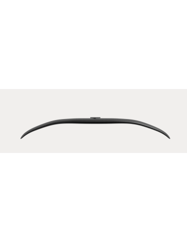 Flite  Cruiser 1100 Aileron Avant